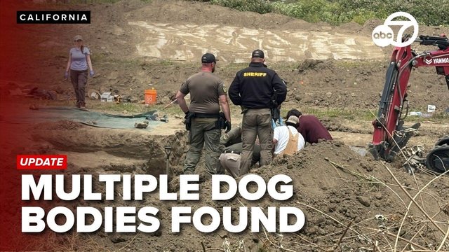 Cadavre de câini descoperite la Sanctuarul de Animale Miranda în California