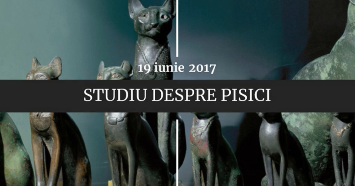 Ilustrație cu evenimente istorice din 19 iunie: scaun electric, ambasada Ecuadorului, pisică