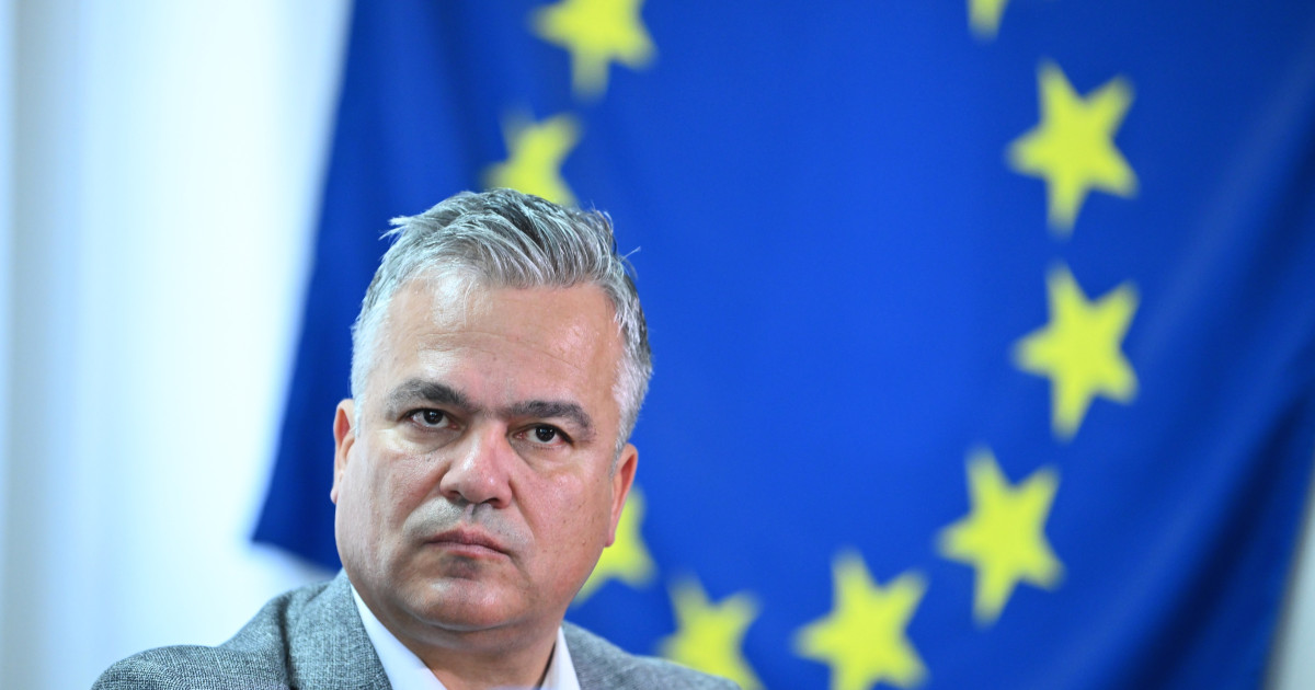 Adrian Veștea și Ciprian Ciucu