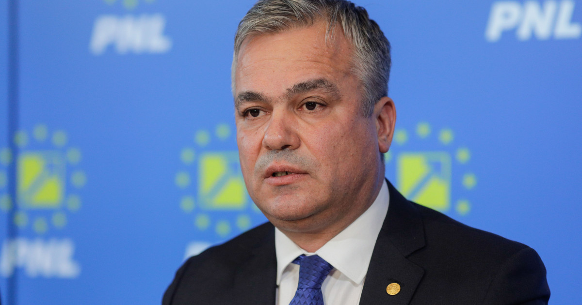 Adrian Veștea, premierul desemnat, în timpul unui discurs