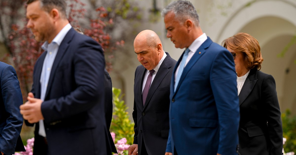 Adrian Veștea și Ciprian Ciucu