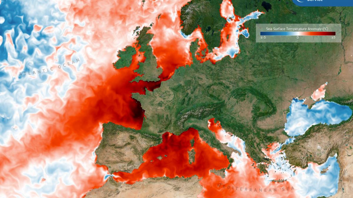 Harta termică a Oceanului Pacific arătând anomalii de temperatură