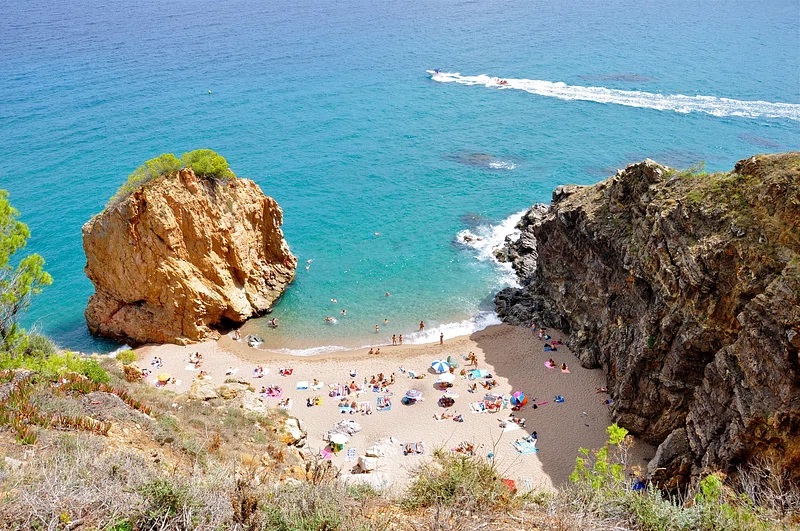 Bacteria Vibrio vulnificus se extinde pe plajele Europei din cauza încălzirii apelor