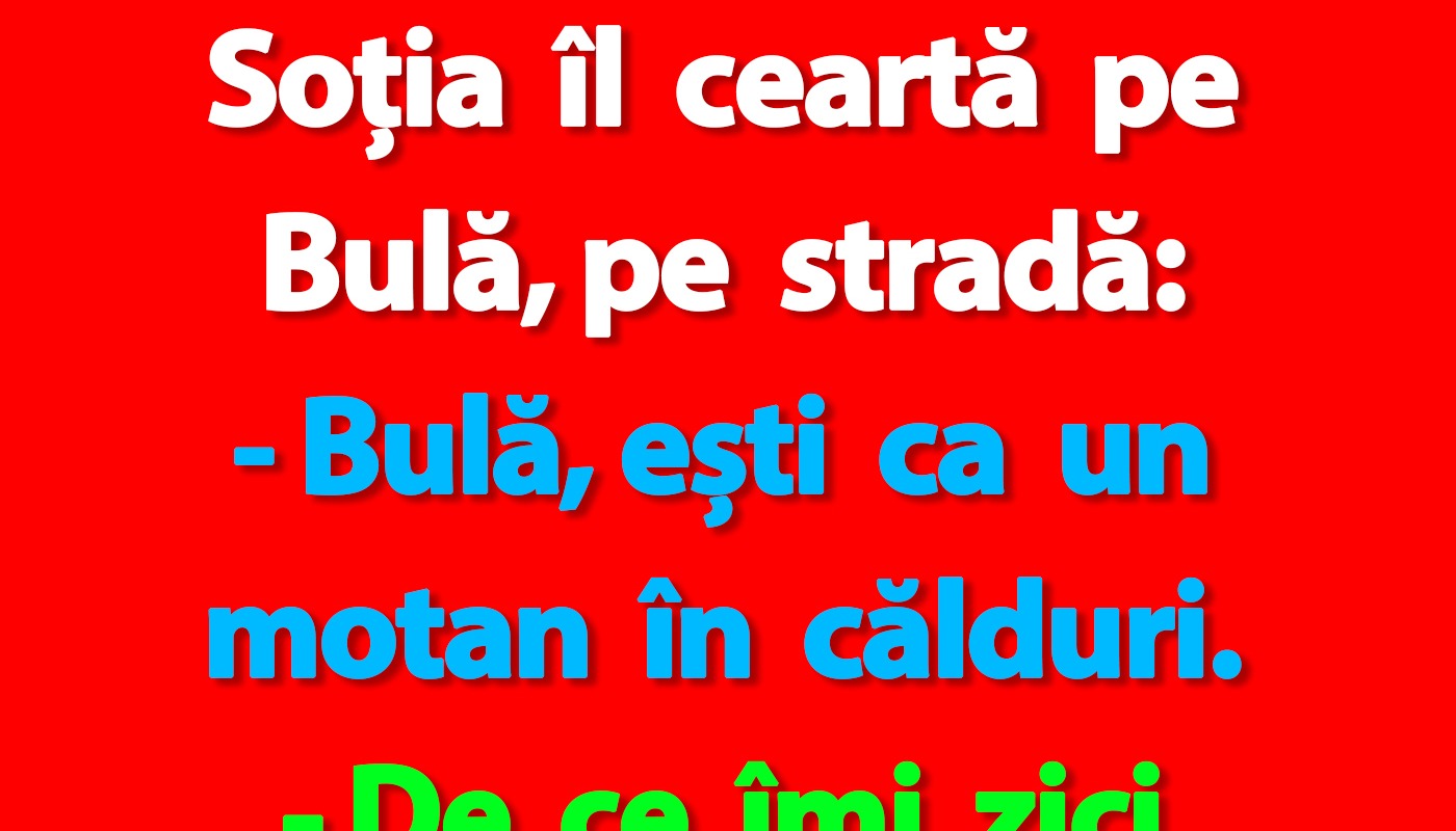 Bulă și Bubulina se ceartă pe stradă