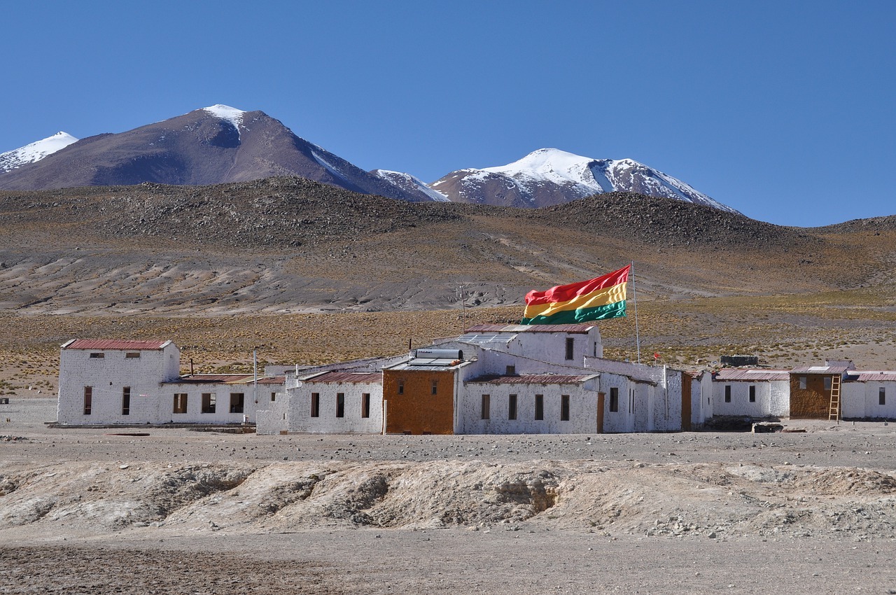 Monede boliviene și bancnote de dolar