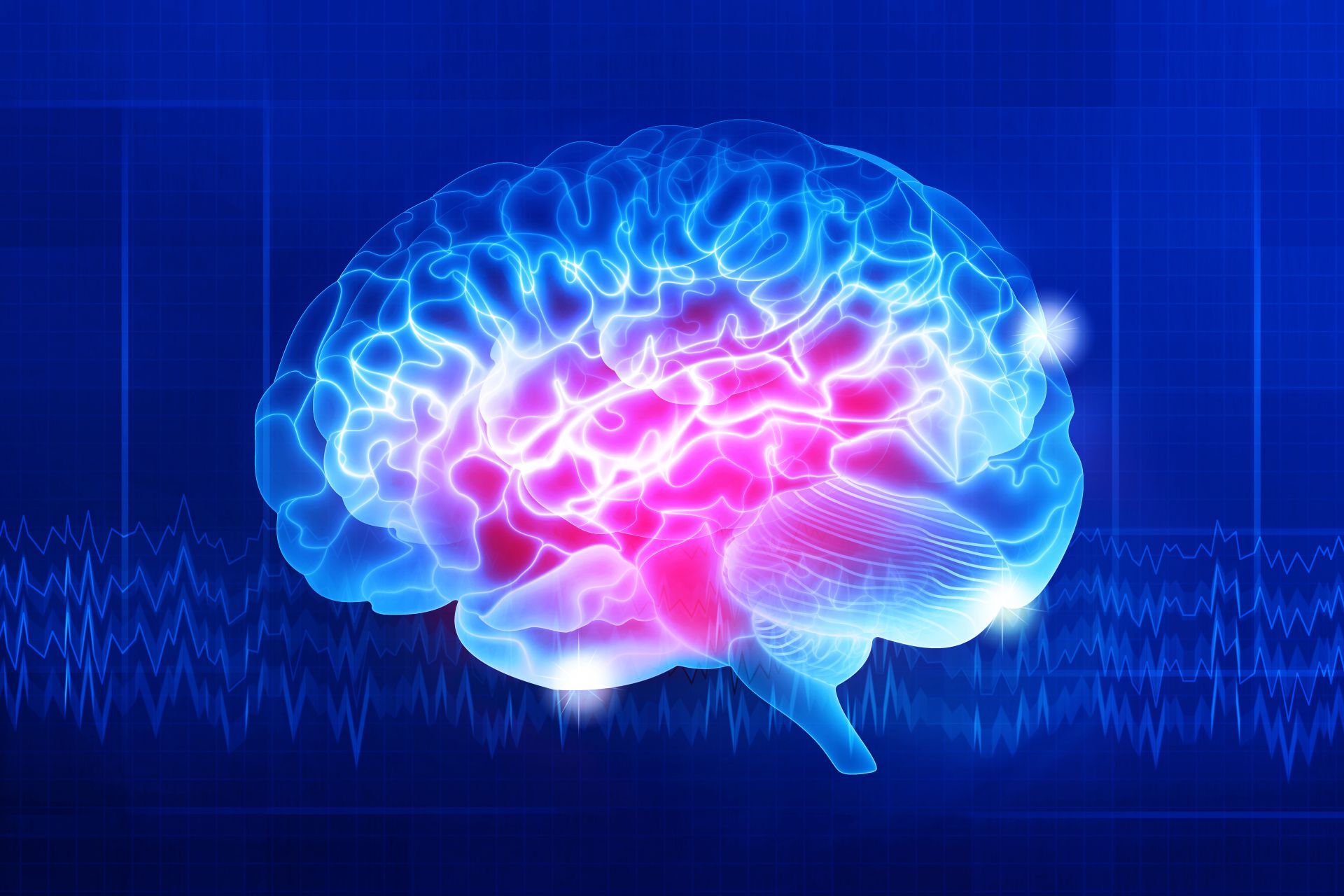 Ilustrație a unui circuit cerebral care controlează anxietatea