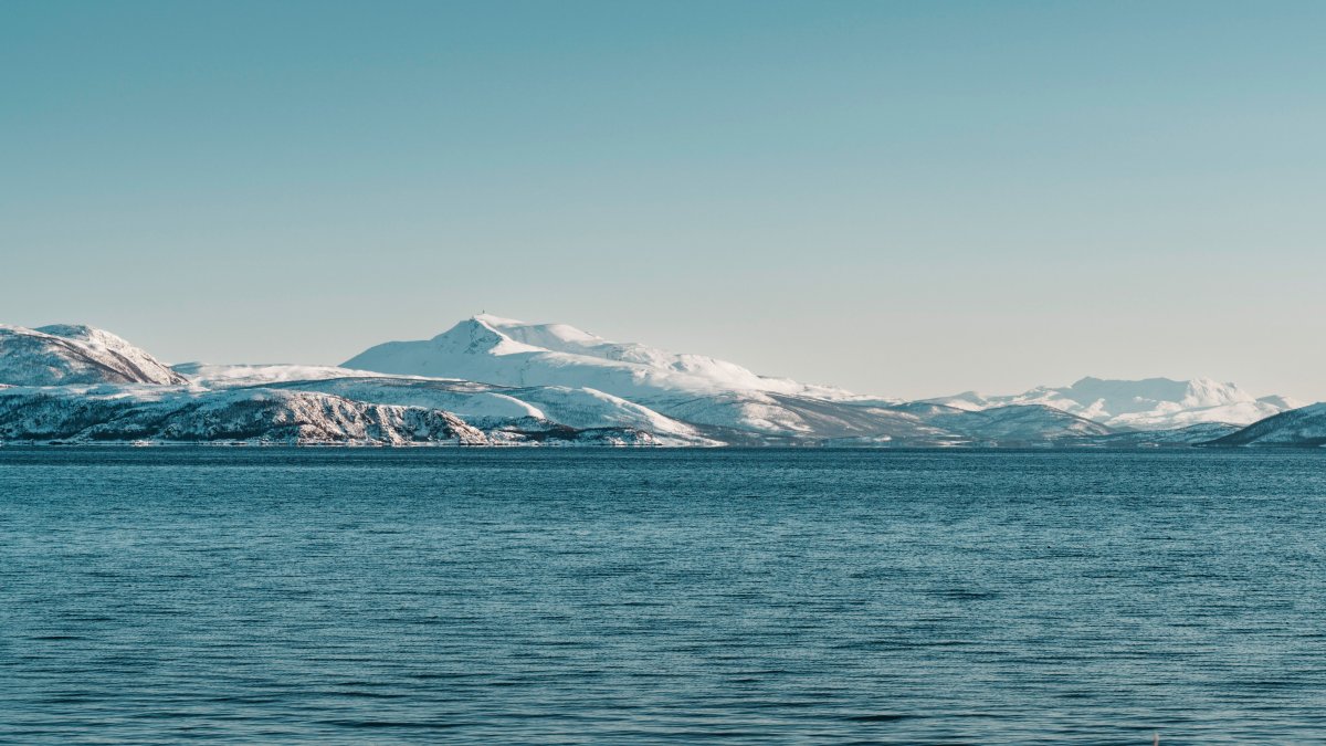 Gheață marină în Oceanul Arctic