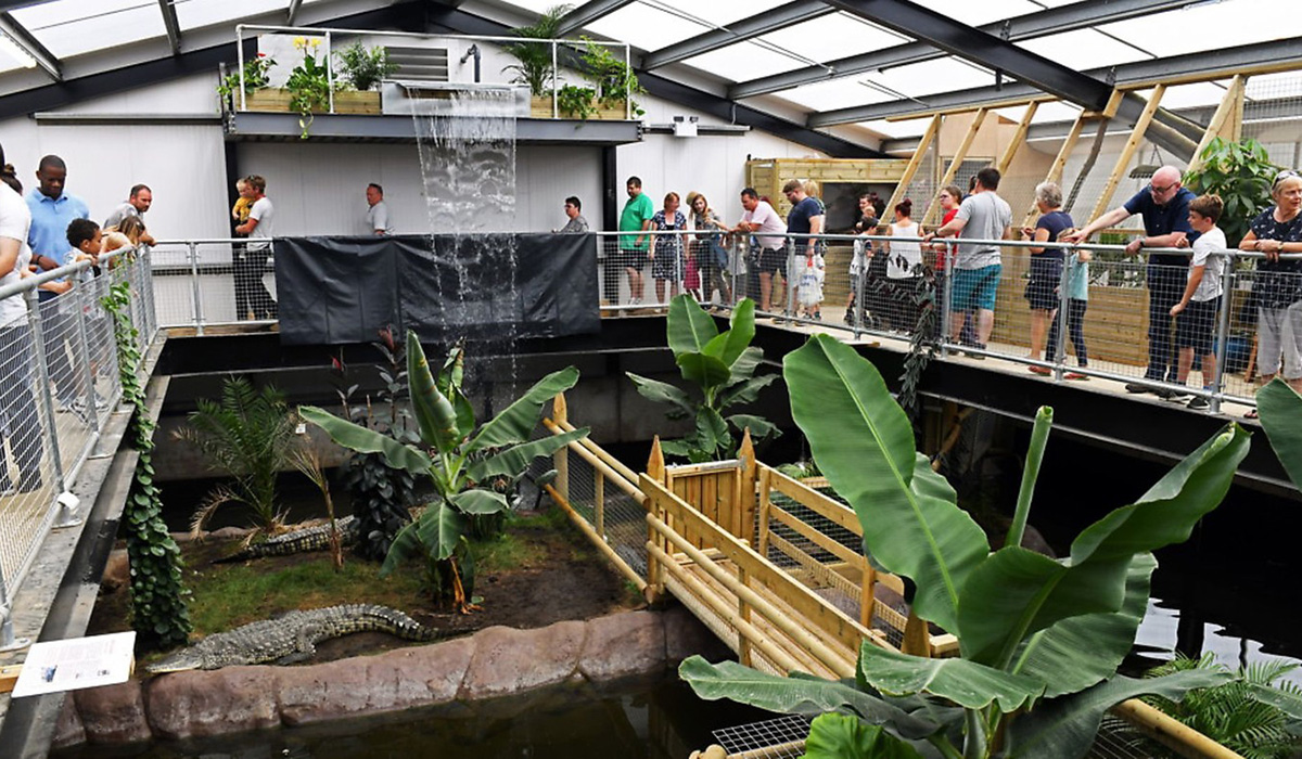 Groapă cu crocodili la grădina zoologică Johnsons of Old Hurst
