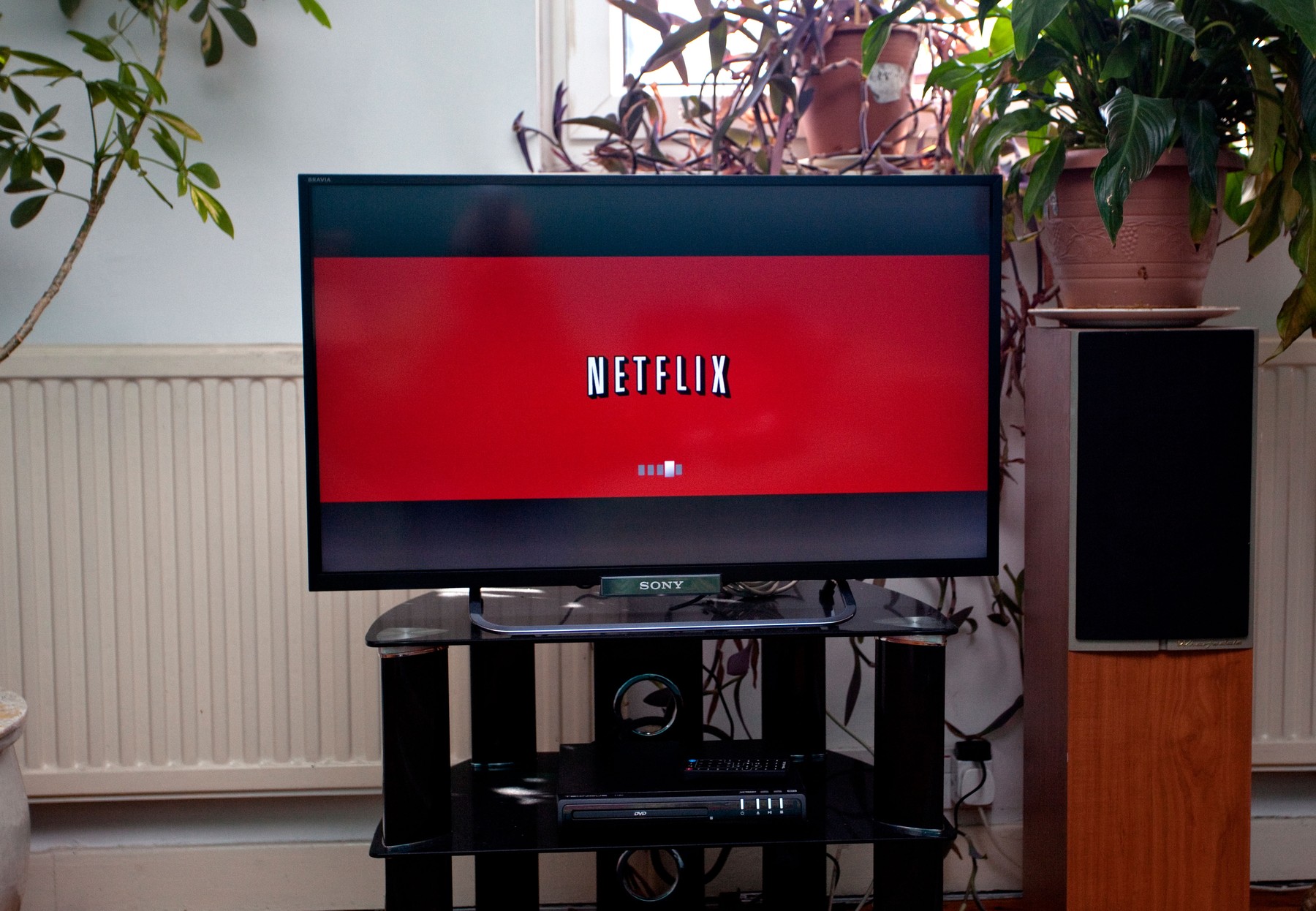 Cum verifici viteza internetului direct pe televizor pentru a depista problemele Netflix