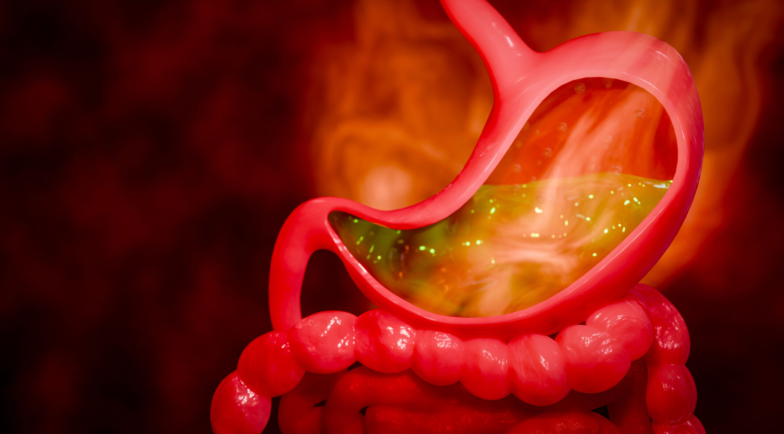 Ilustrație a stomacului uman și a stratului de mucus protector