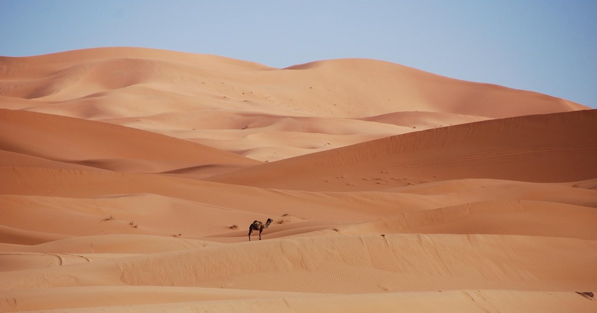 De ce Arabia Saudită, țară cu deșerturi uriașe, importă nisip pentru construcții din Australia