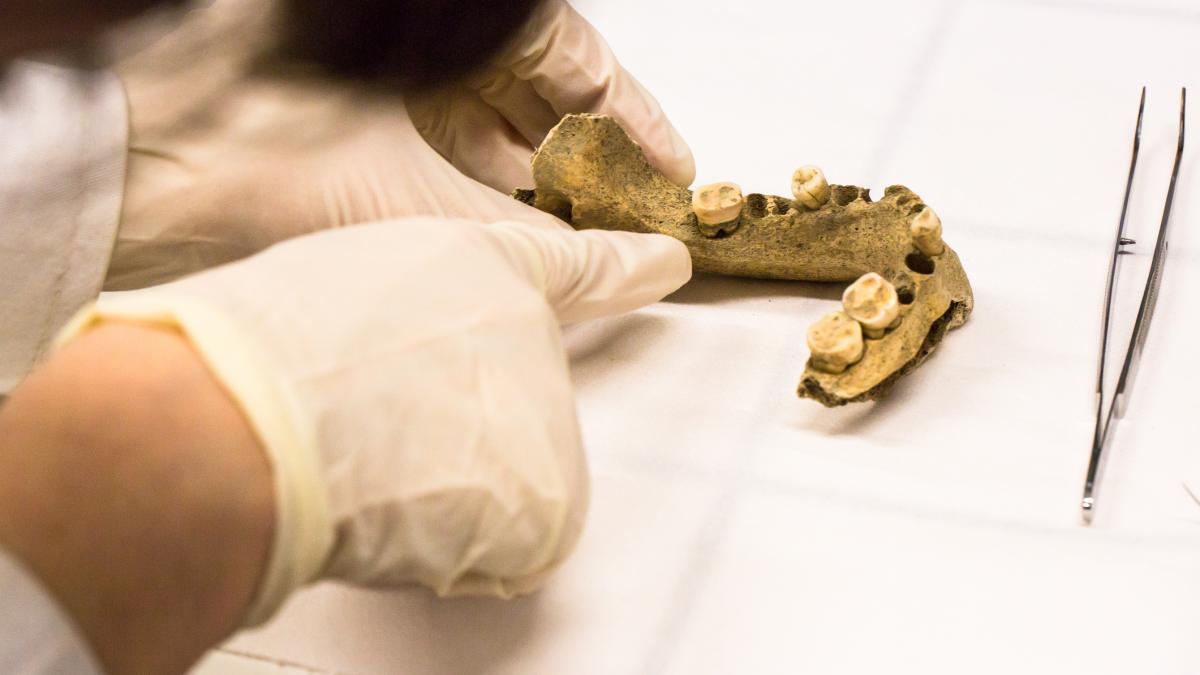 Peștera Rising Star din Africa de Sud, sit arheologic unde au fost descoperite fosile Homo naledi
