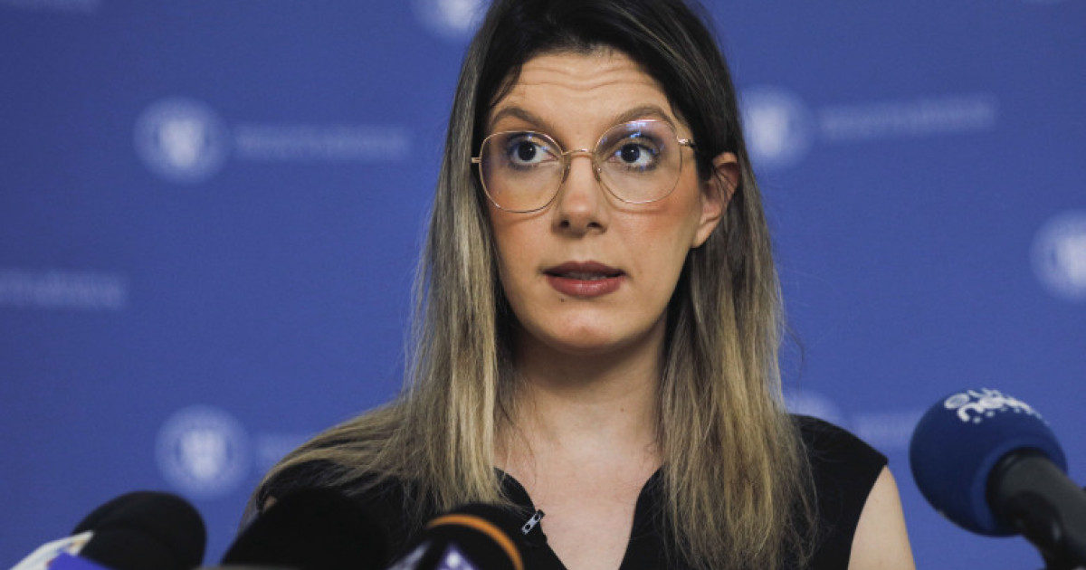 Diana Buzoianu la o conferință de presă