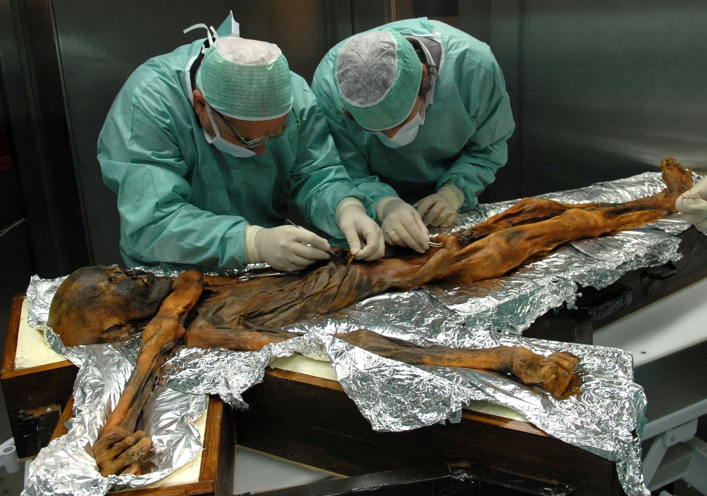 Drojdie activă descoperită în intestinul mumiei Ötzi, folosită pentru a face pâine cu maia