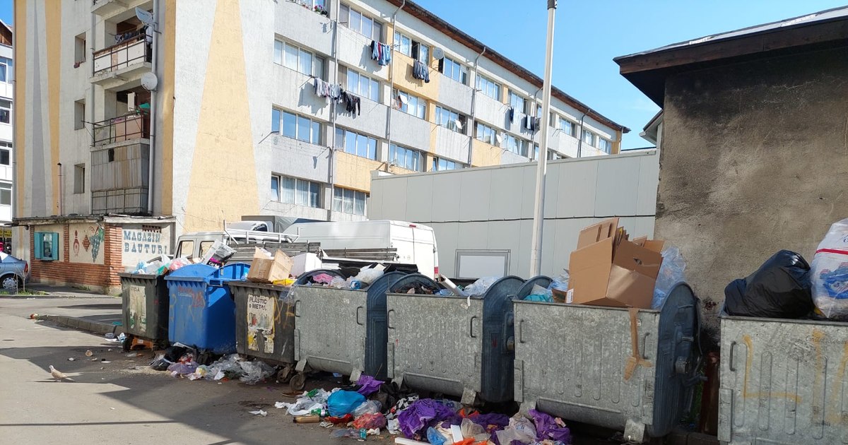Ghene de gunoi în fața unui bloc din București
