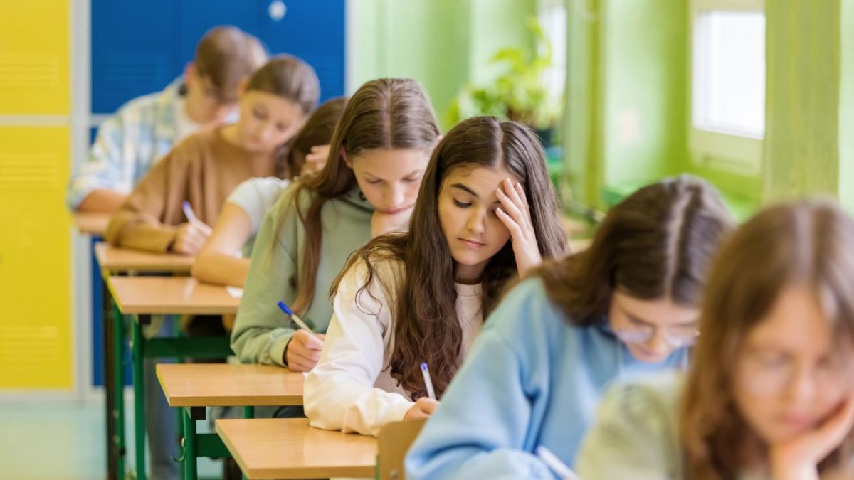 Elevi la Evaluarea Națională 2026