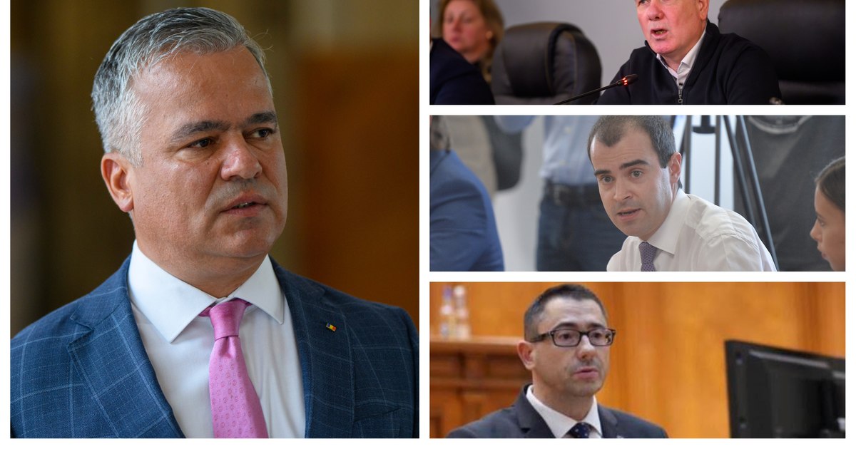 Adrian Veștea, premier desemnat, în discurs