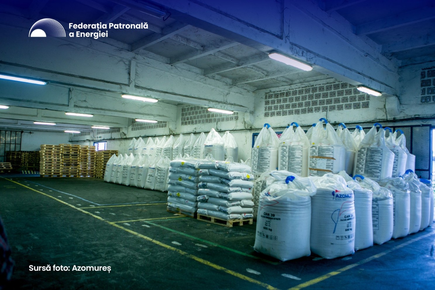 FPE: Transformarea resurselor energetice în produse cu valoare adăugată, esențială pentru competitivitate. Exemplul Azomureș
