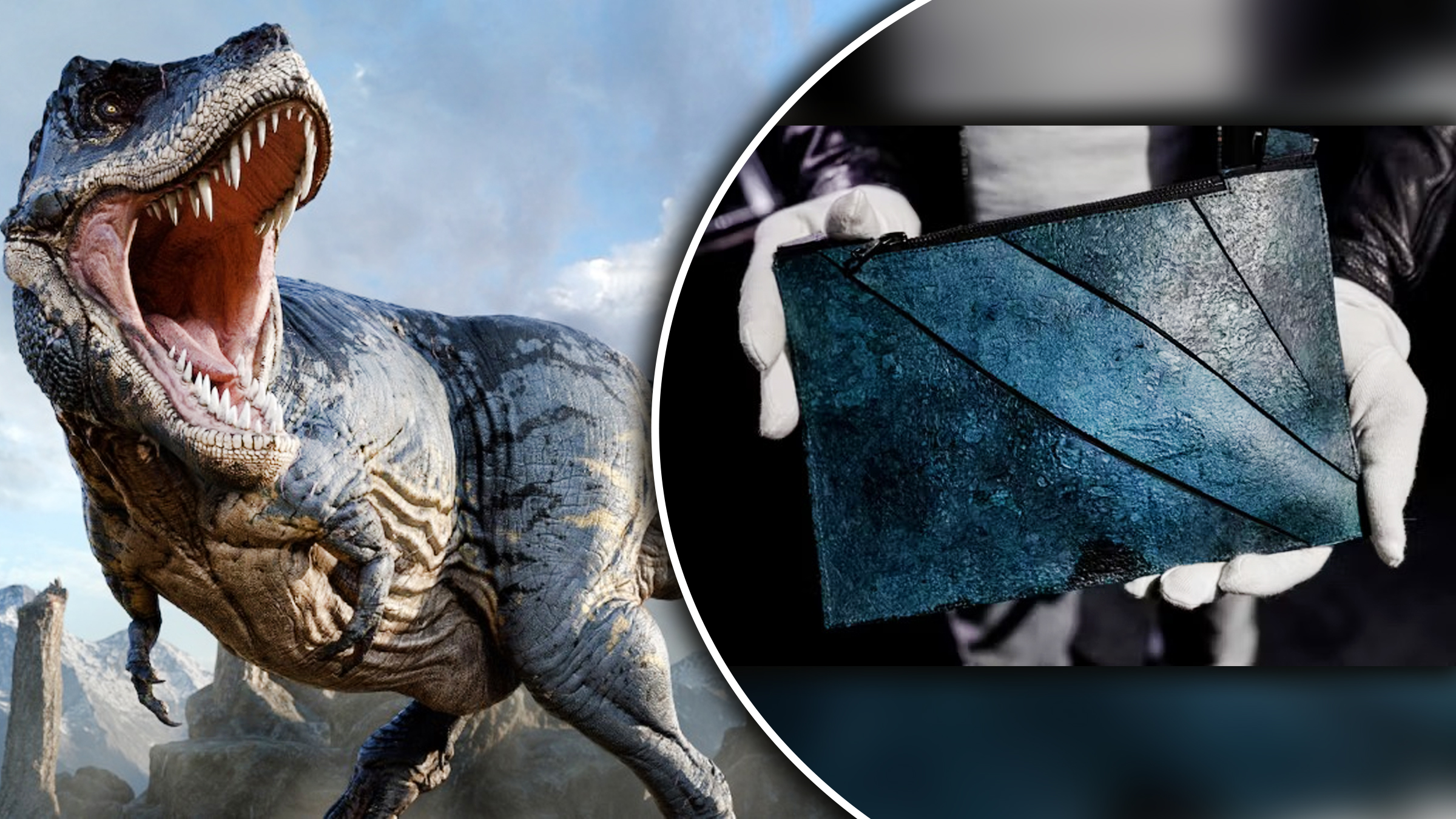 Geantă din piele de T-Rex expusă la licitație