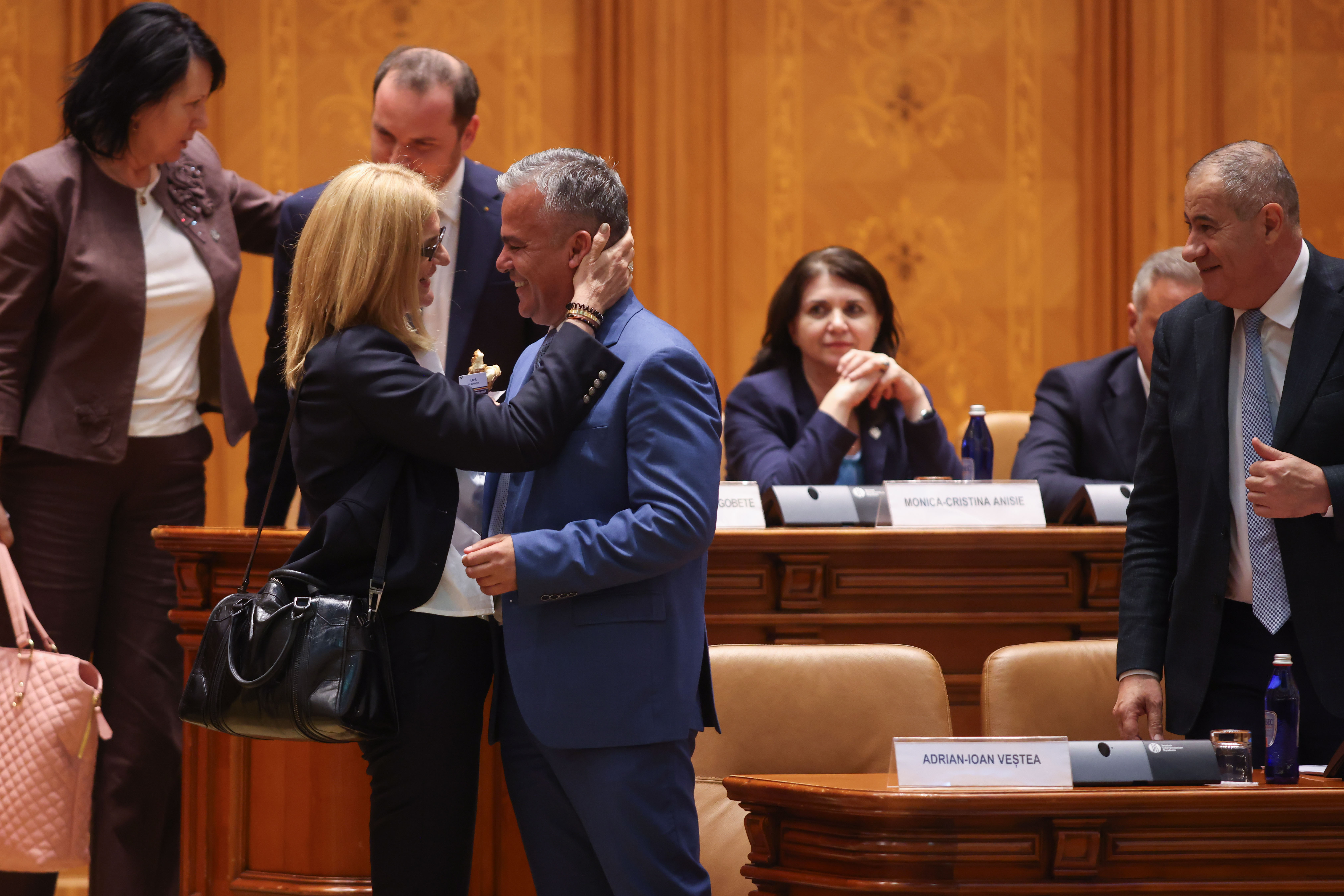 Adrian Veștea în Parlament