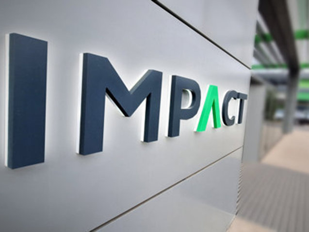 Grafic bursa Impact Developer