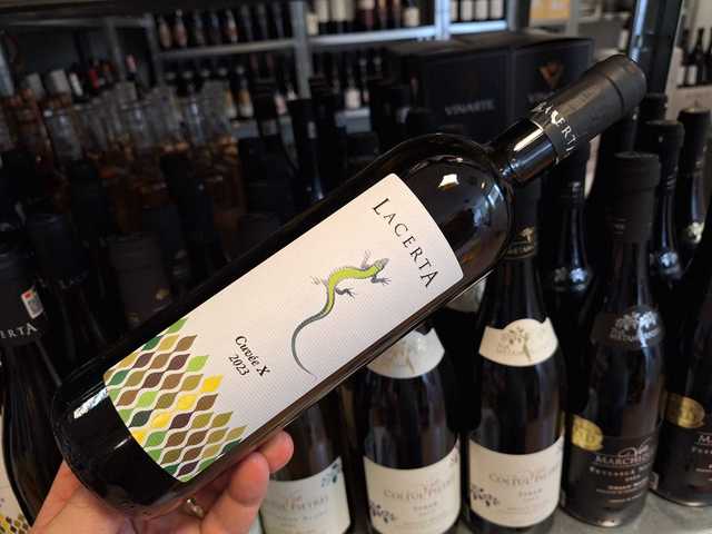 Sticlă de vin Lacerta Cuvée X 2023 și pahar cu vin alb, pe fundalul podgoriilor Dealu Mare