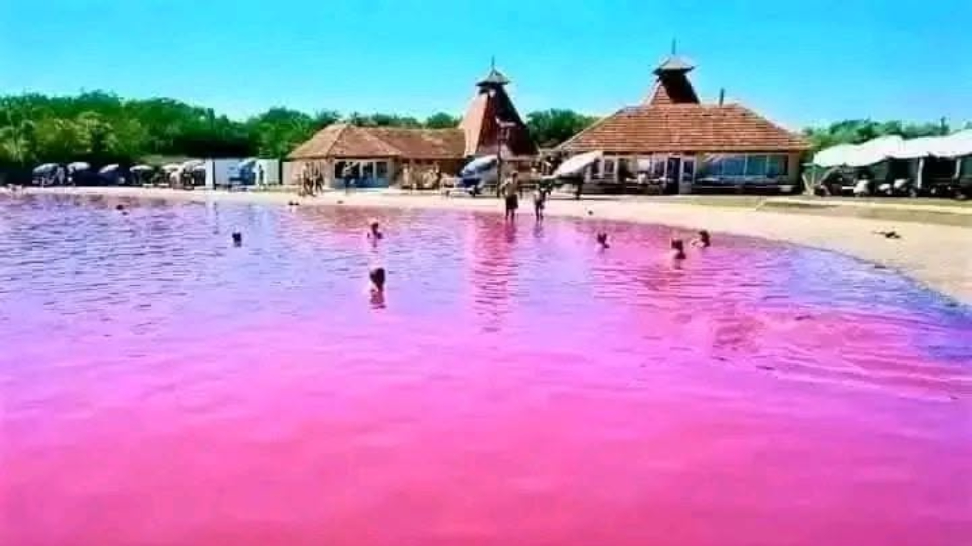 Lac roz cu ape vindecătoare în Pačir, Serbia