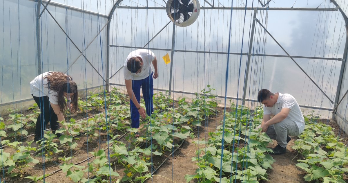 Liceul agricol din Brăila, revigorat prin drone și sere inteligente. 950 de elevi, în creștere cu 300 în patru ani