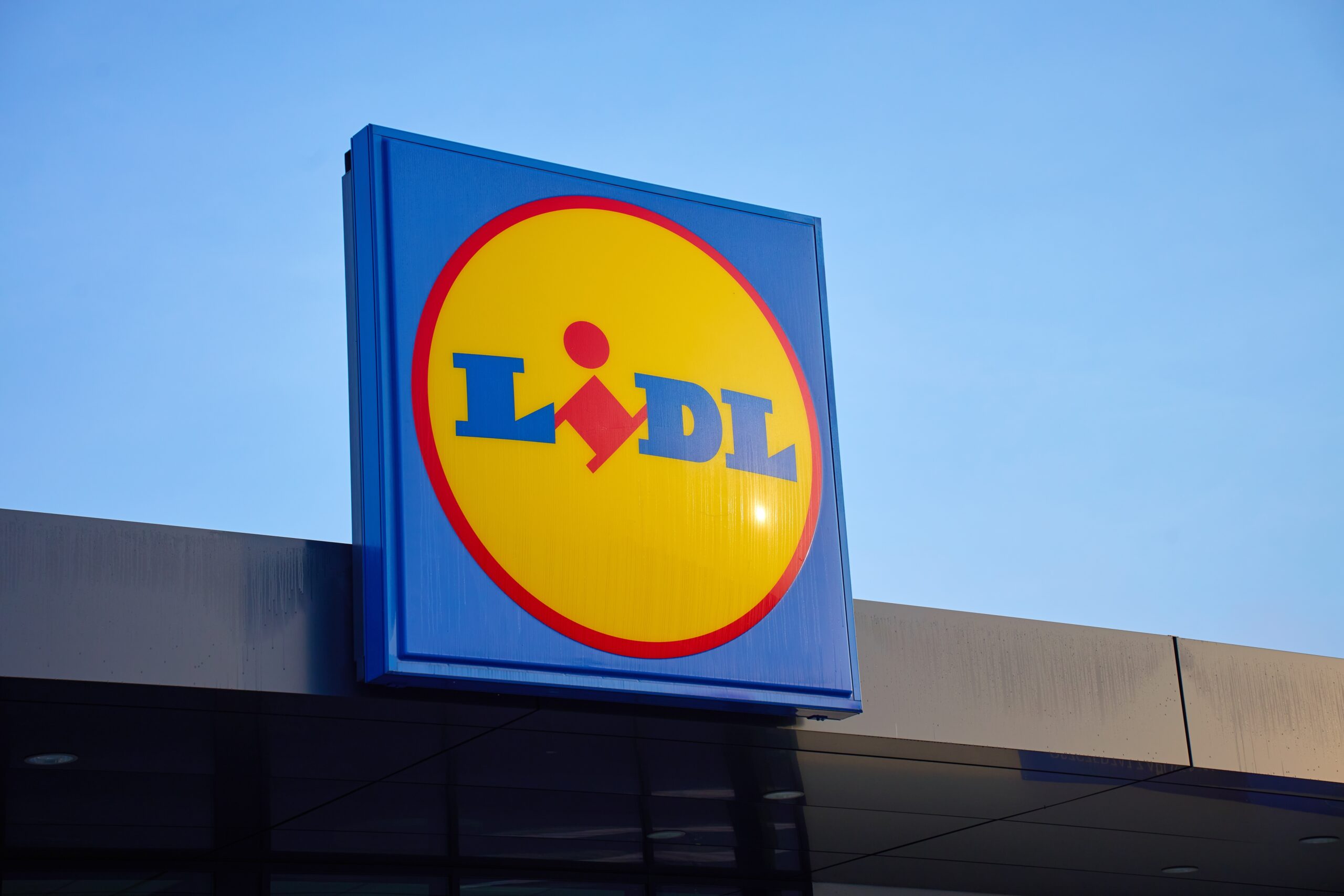 Căpșuni congelate bio Lidl retrase din magazine