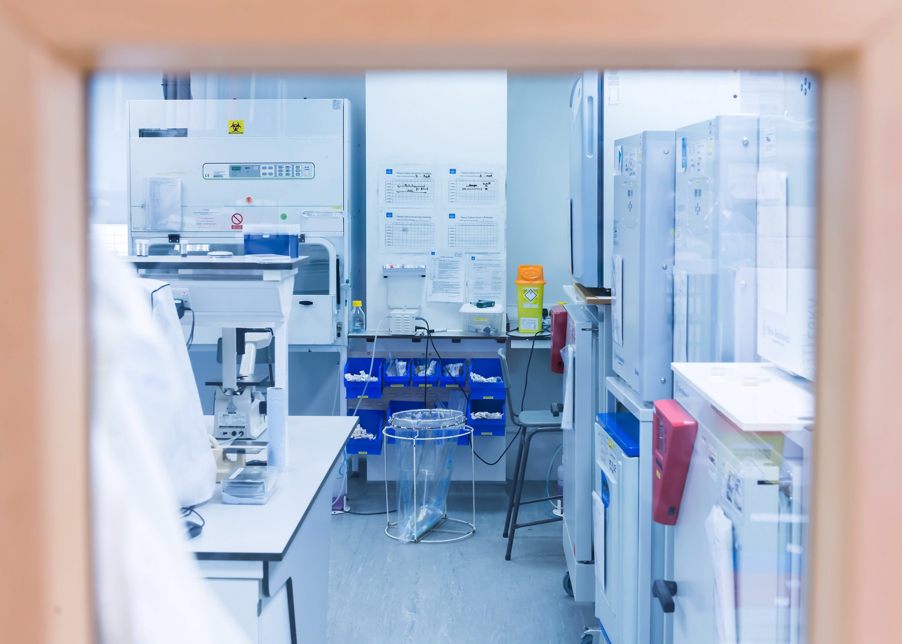 Cercetător în laborator analizând probe de cancer pancreatic