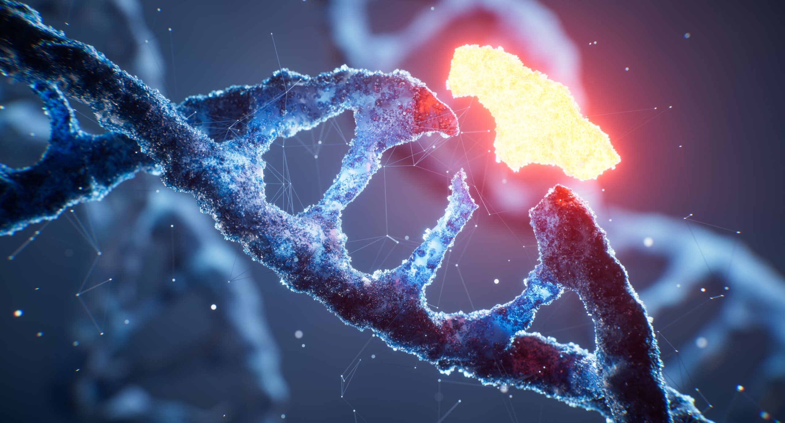 O singură literă genetică greșită transformă șoarecii femele în masculi