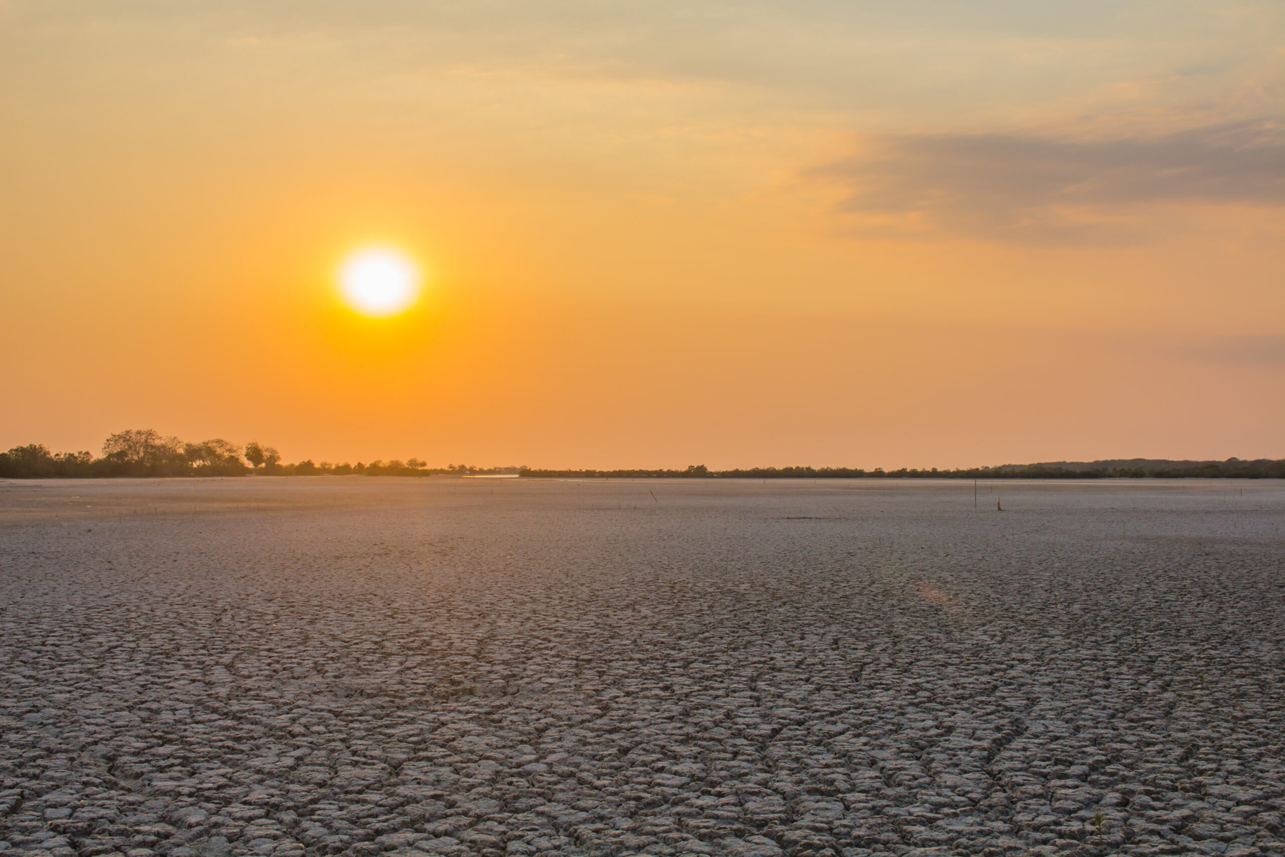 ONU avertizează: El Niño revine cu 80% probabilitate până în septembrie 2026, risc de fenomene extreme