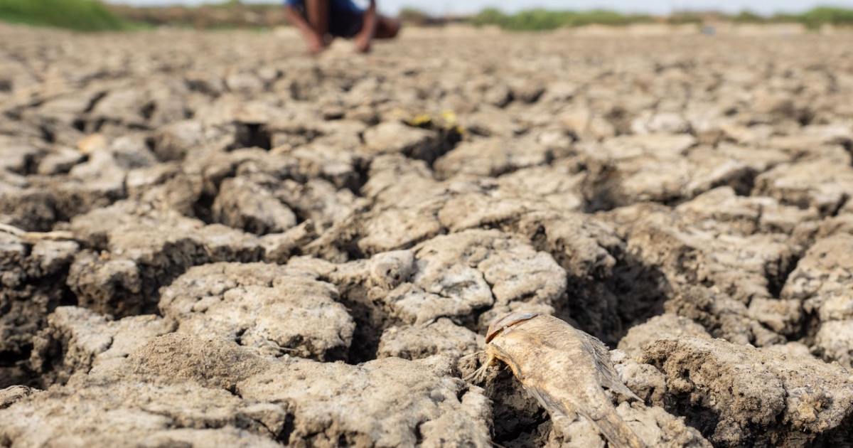 Fenomenul El Nino - harta temperaturilor la suprafața mării în Pacific