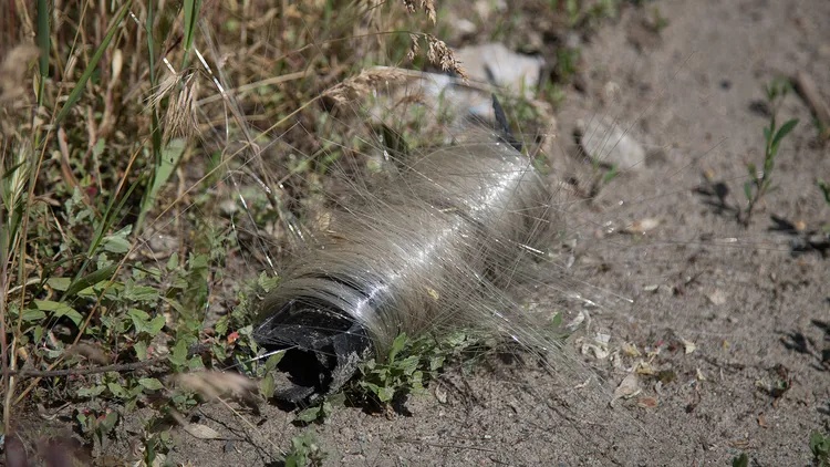 Cuib de pasăre făcut din fibre optice în Ucraina
