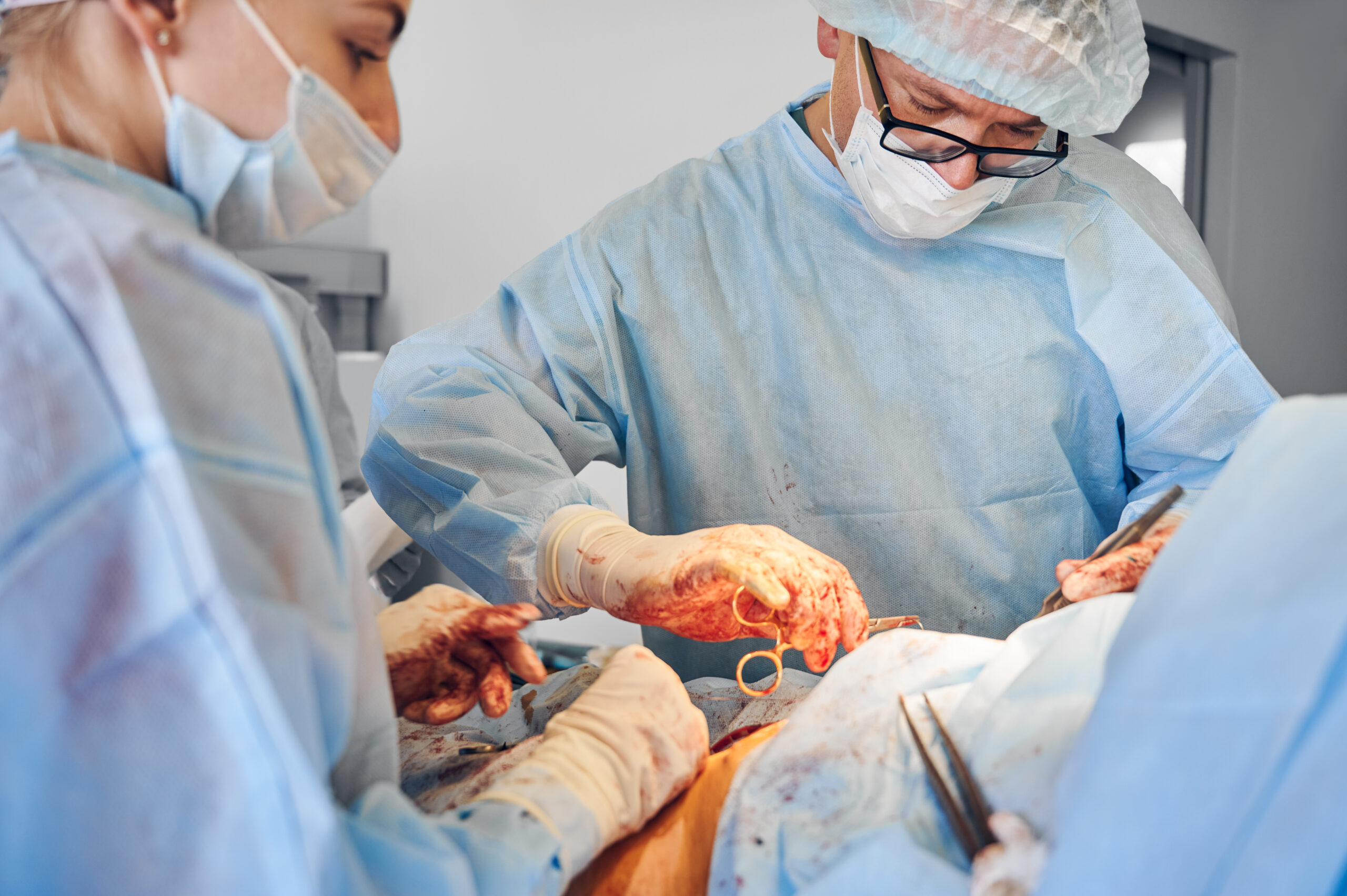 Organe de porc modificate genetic pentru transplant