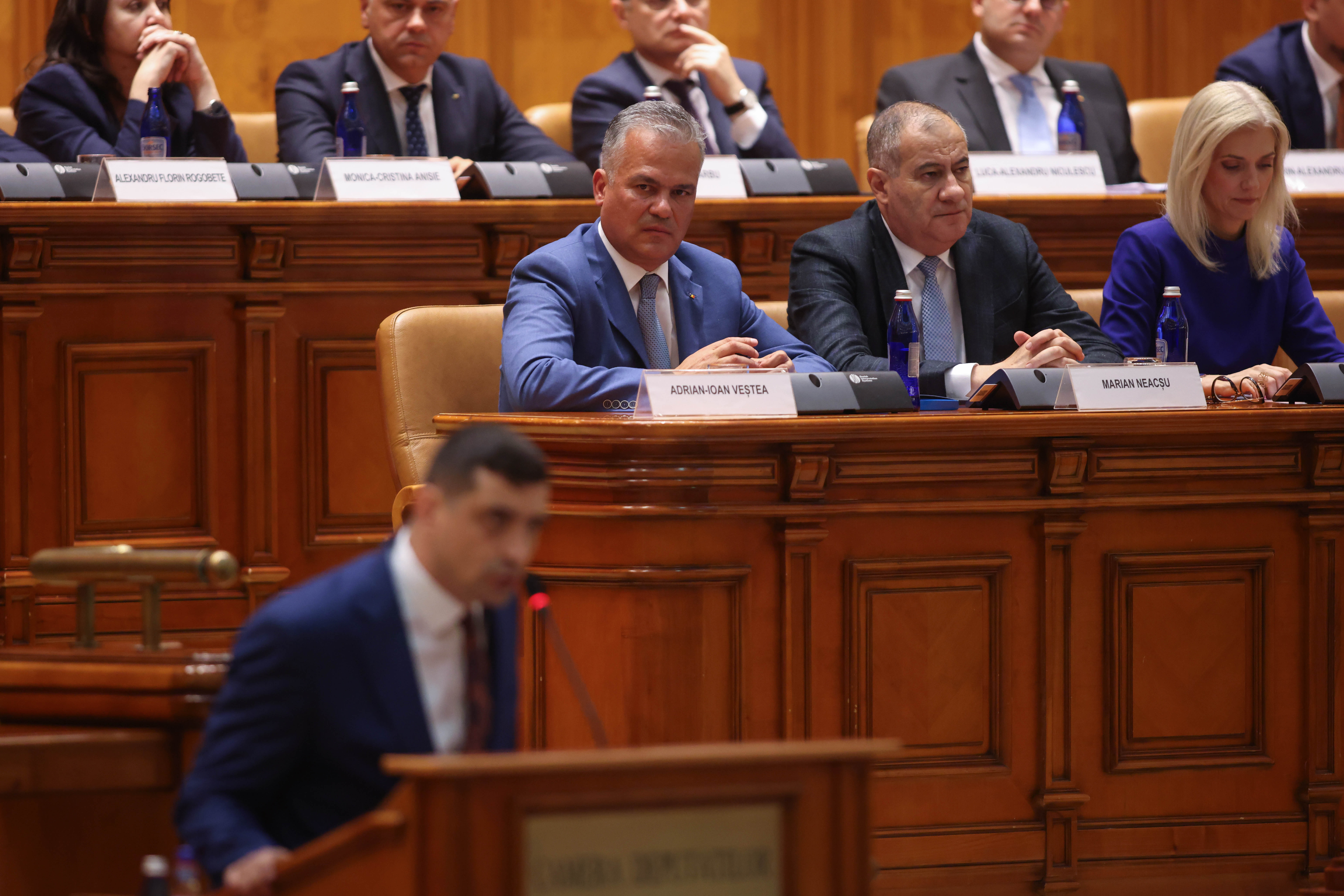 Adrian Veștea în Parlamentul României