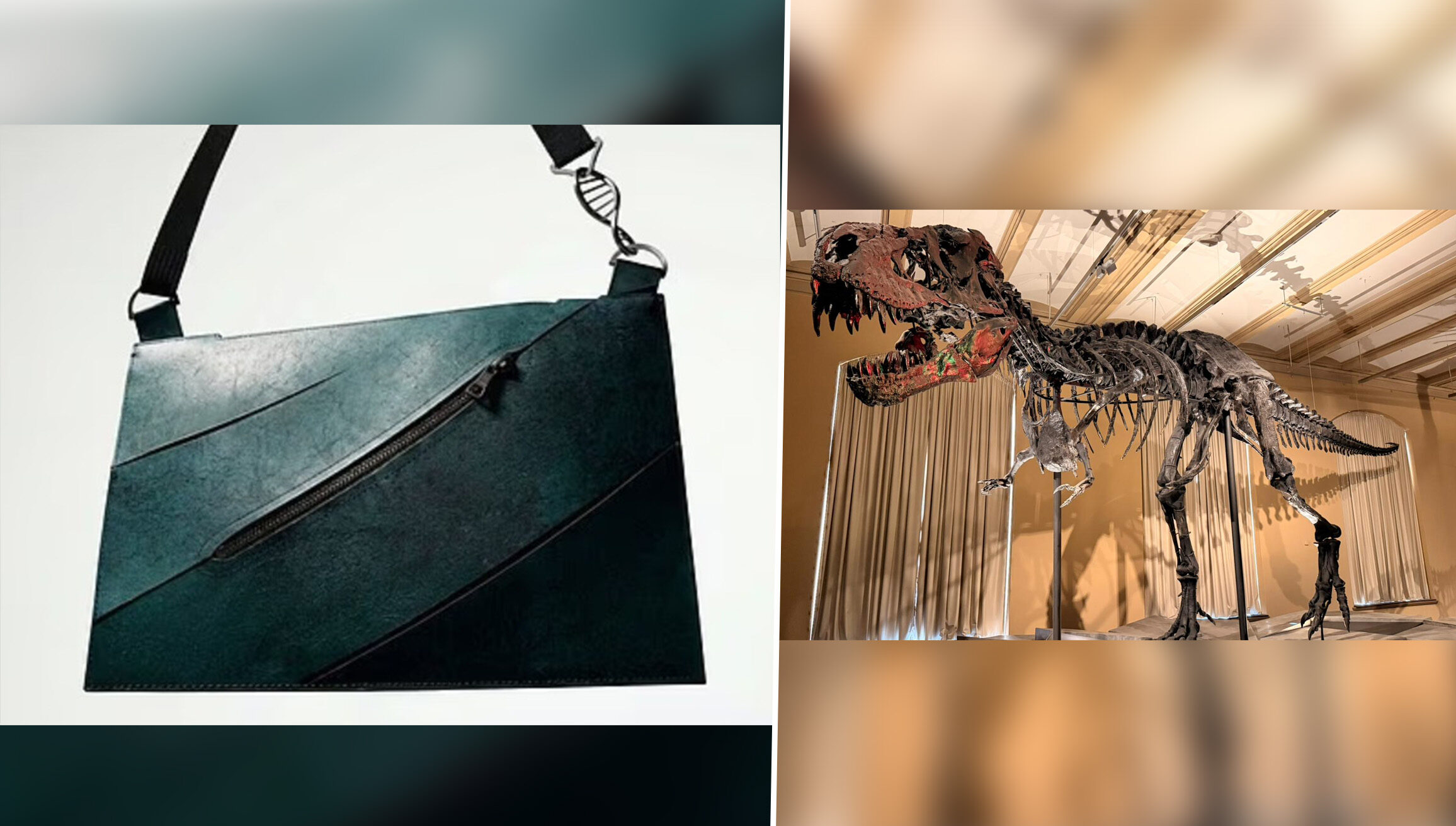 Geantă din piele de T-Rex cultivată în laborator