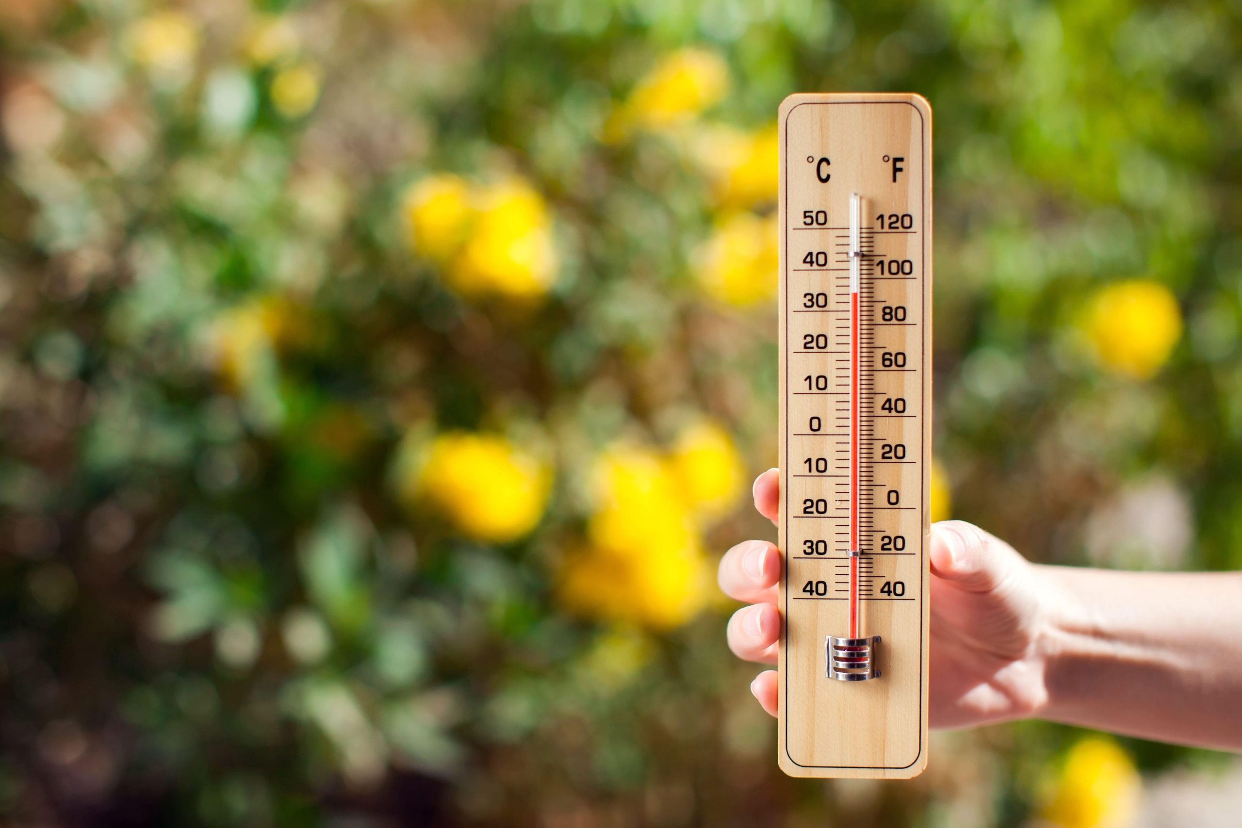 Prognoza meteo 8 iunie – 6 iulie 2026: temperaturi normale, ploi neuniforme