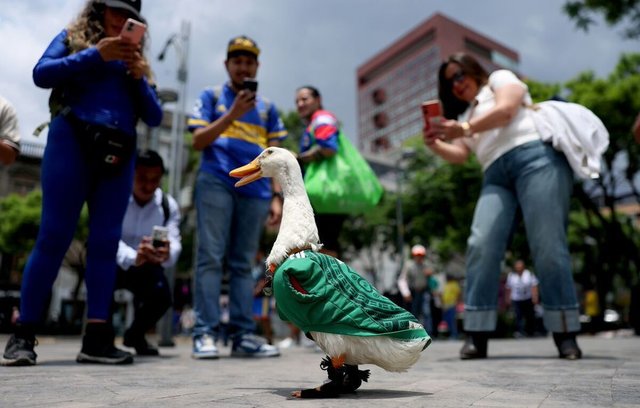 Rața Merlin, mascota neoficială a Cupei Mondiale 2026, alături de președinta Mexicului, Claudia Sheinbaum