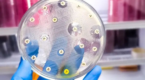 Rezistența gonoreei la antibiotice: OMS raportează o creștere de șase ori a rezistenței la ceftriaxona