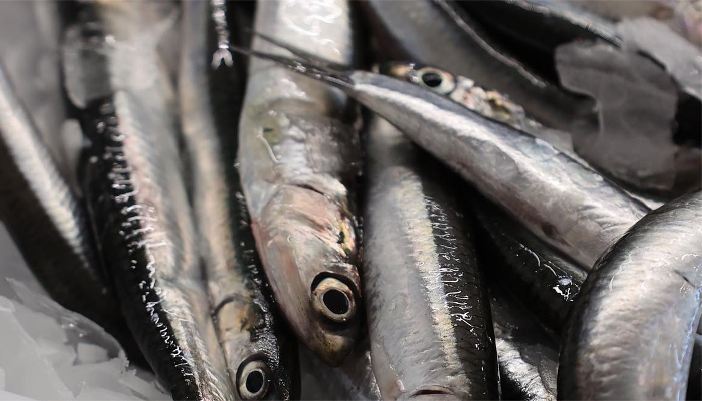 Sardinele și heringul, cei mai sănătoși pești din comerț, potrivit nutriționiștilor