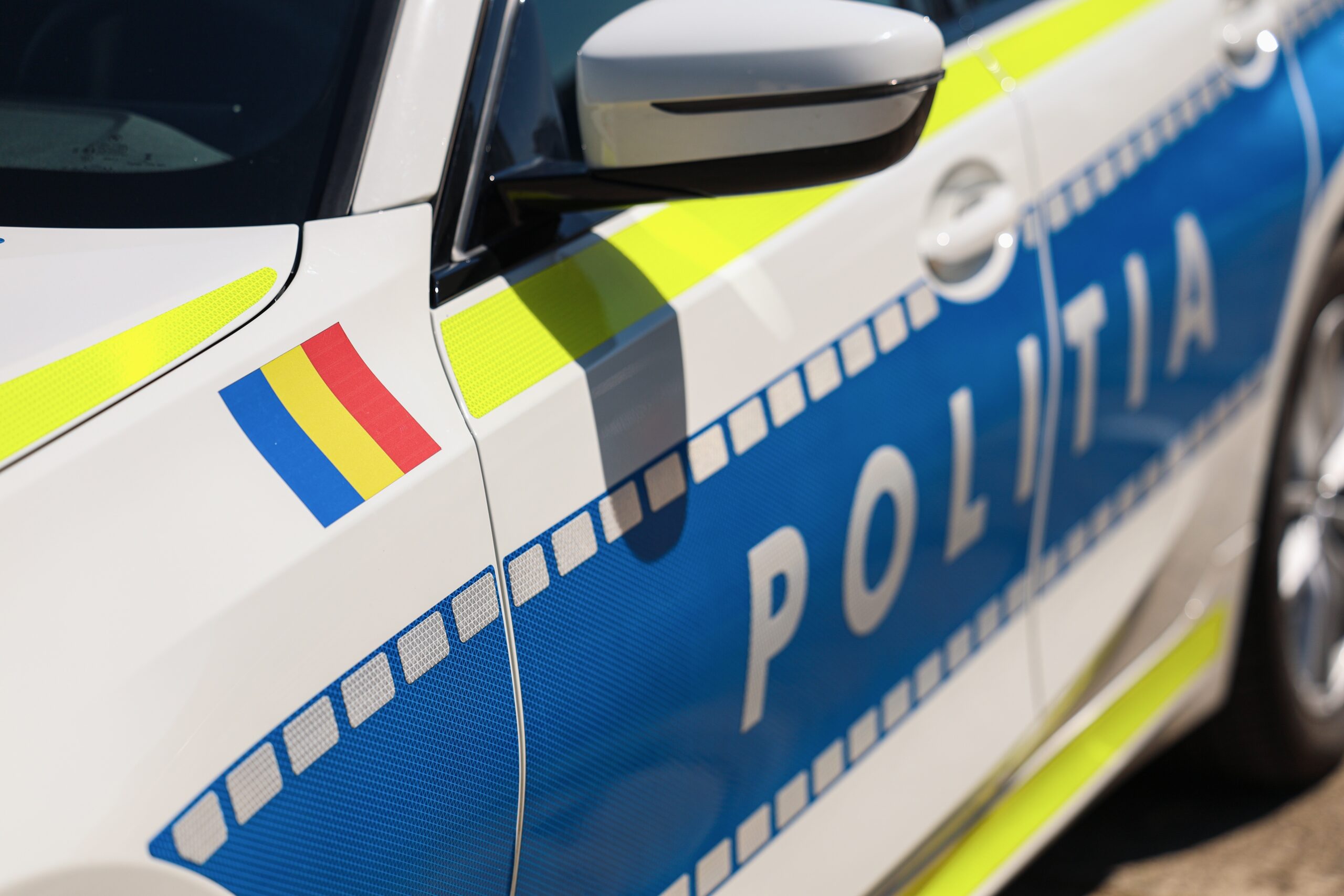 Statuetă de patrimoniu germană găsită de poliție în casa unui bărbat din Buzău
