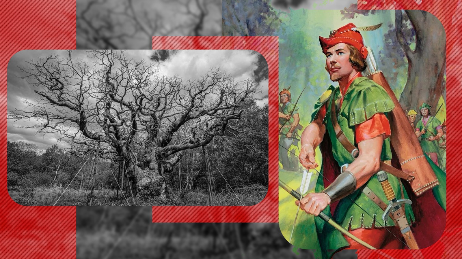 Stejarul legendar Major Oak, ascunzătoarea lui Robin Hood, a murit după 1.200 de ani