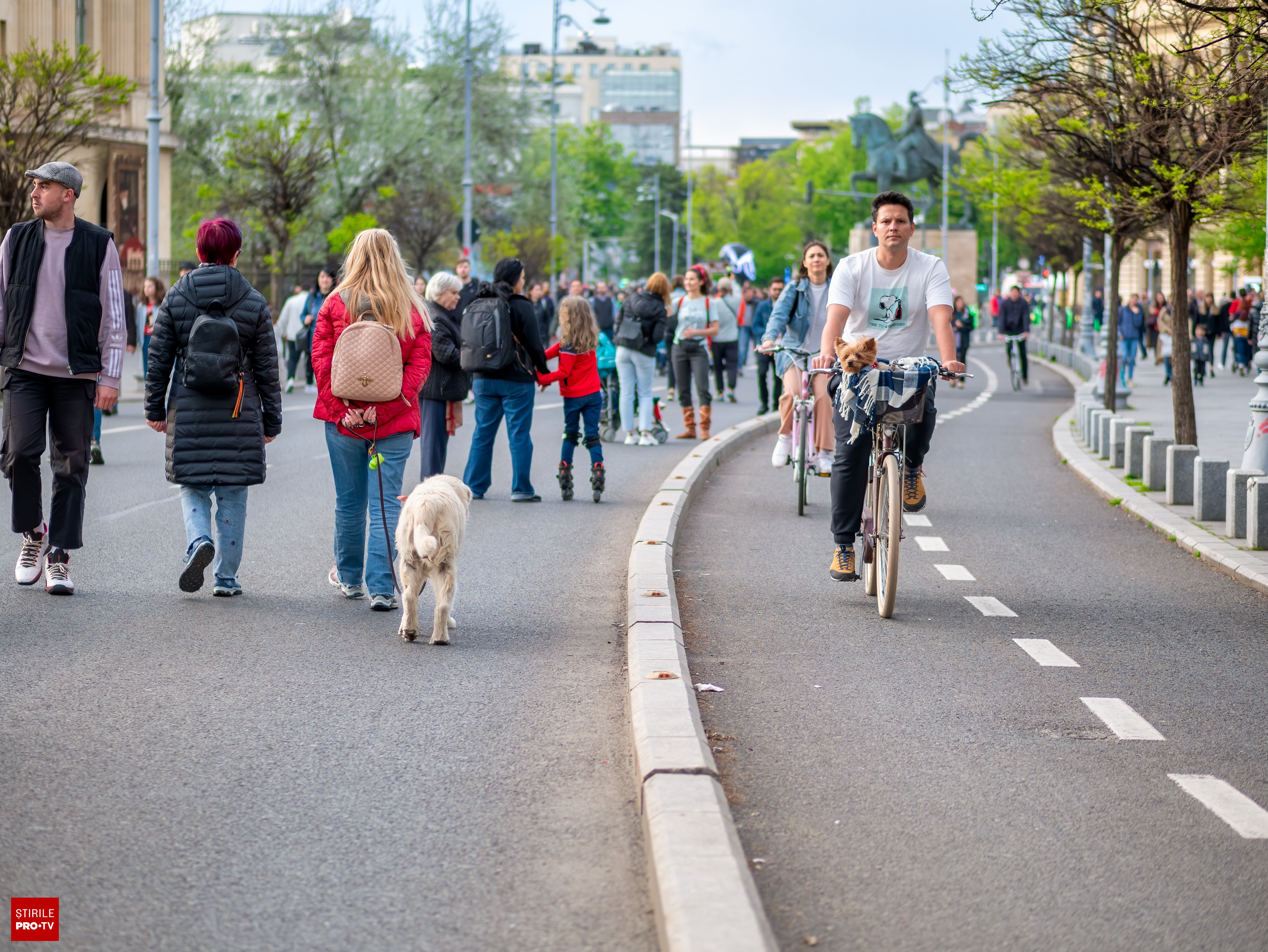 Calea Victoriei cu trafic restricționat pentru evenimente culturale