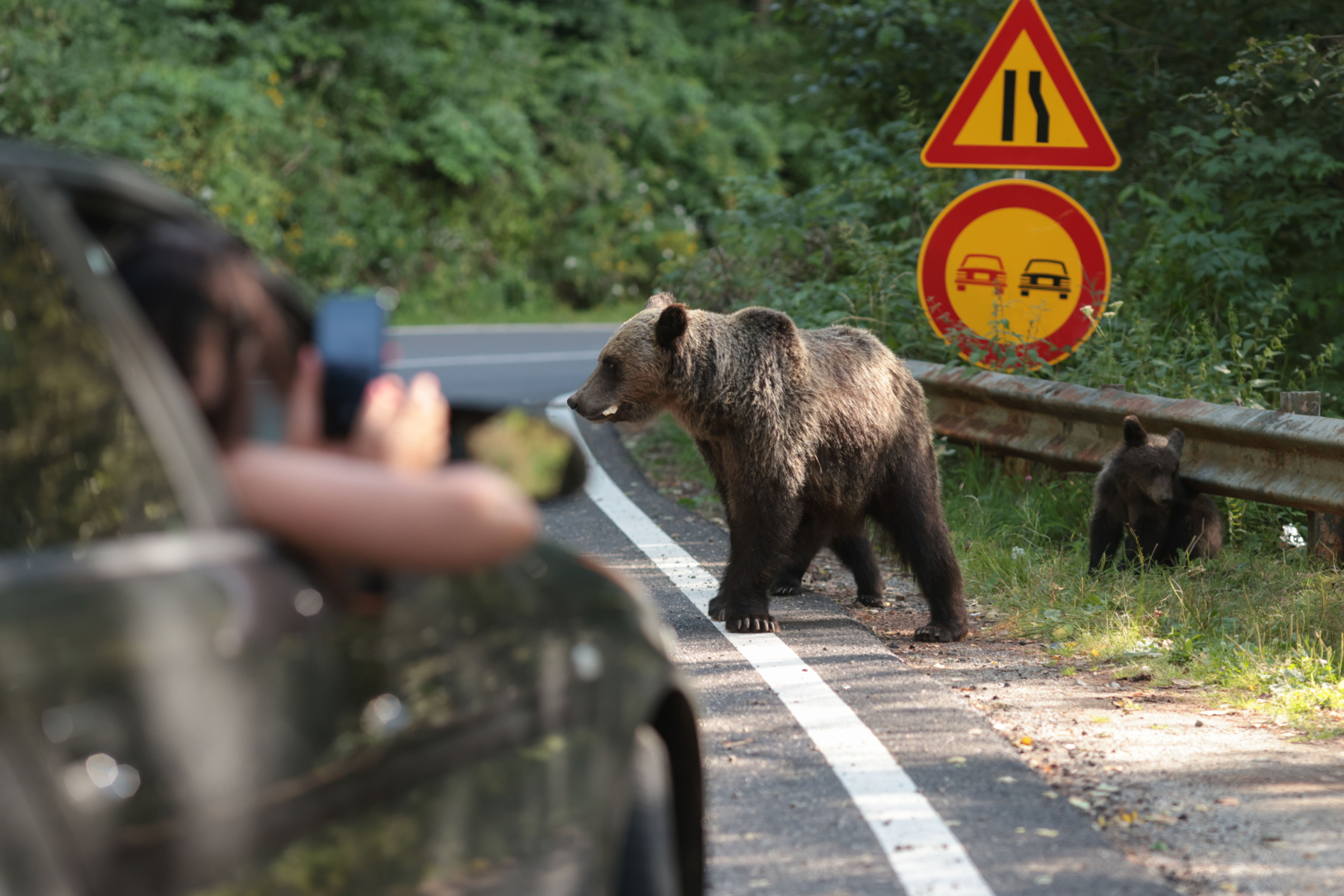 Transfăgărășan peisaj montan
