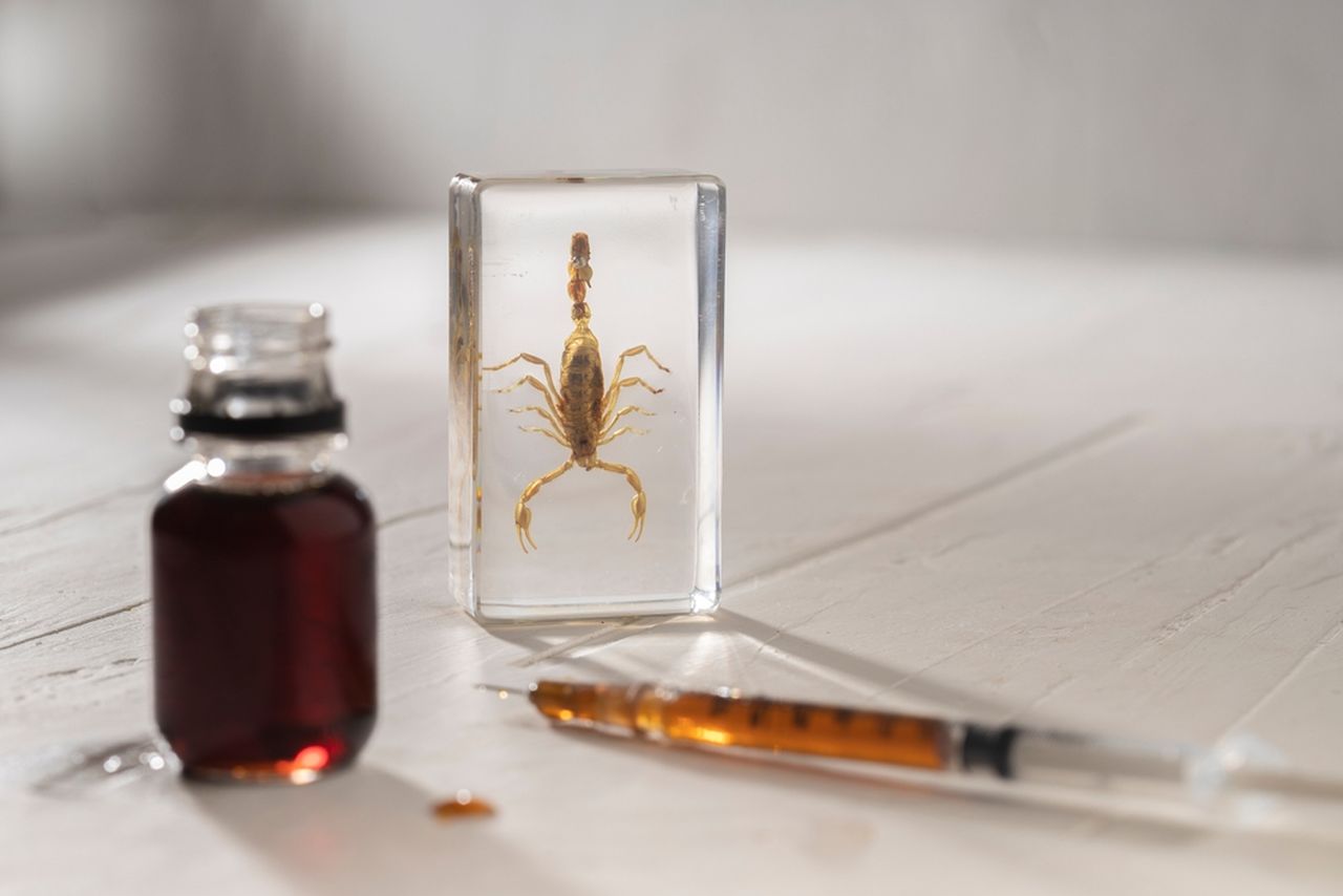 Veninul de scorpion: comoara lichidă de 10 milioane de dolari pe litru și aplicațiile sale medicale