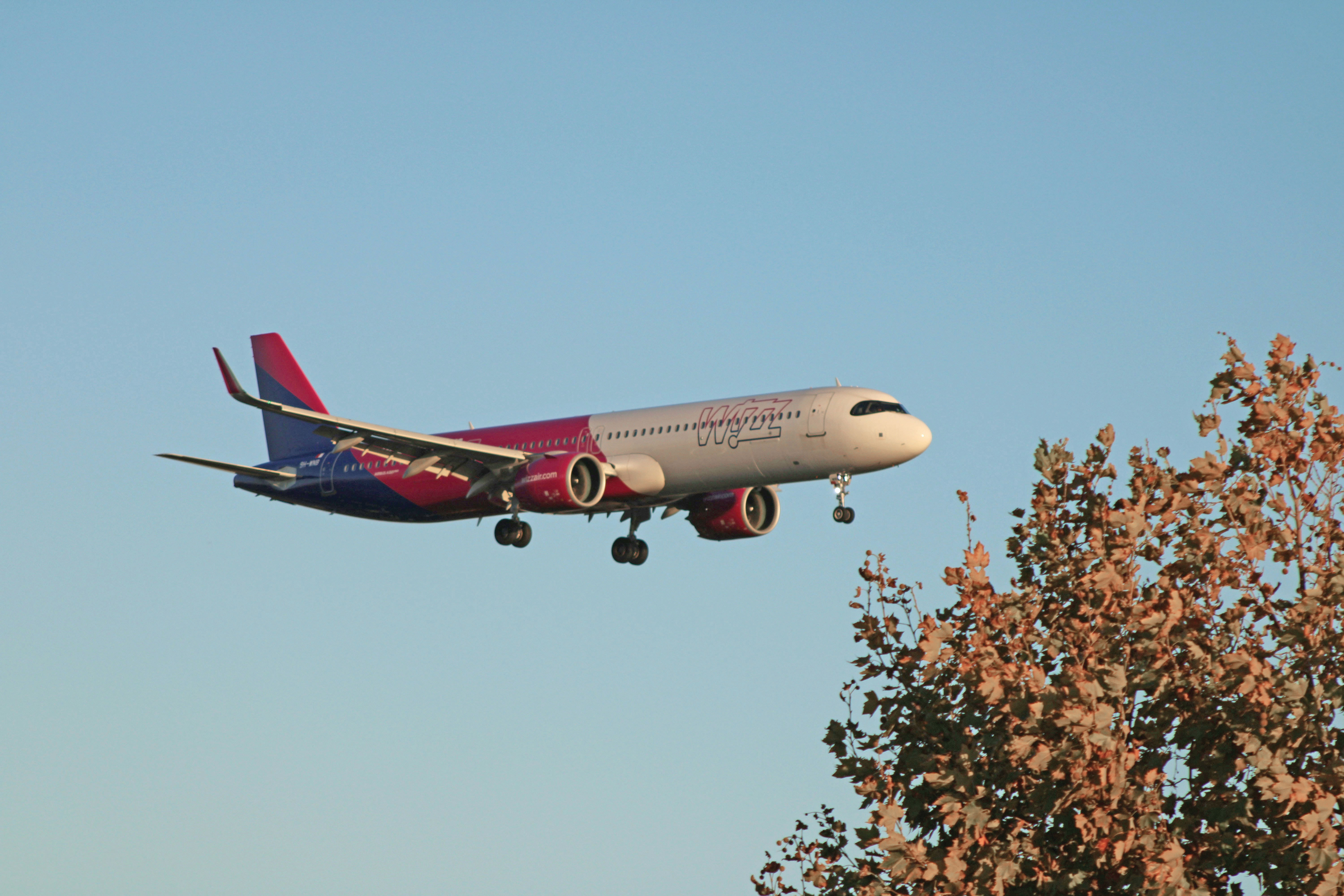 Wizz Air a transportat 14,5 milioane de pasageri în România în 2025, cu 13% mai mult, deținând jumătate din piață