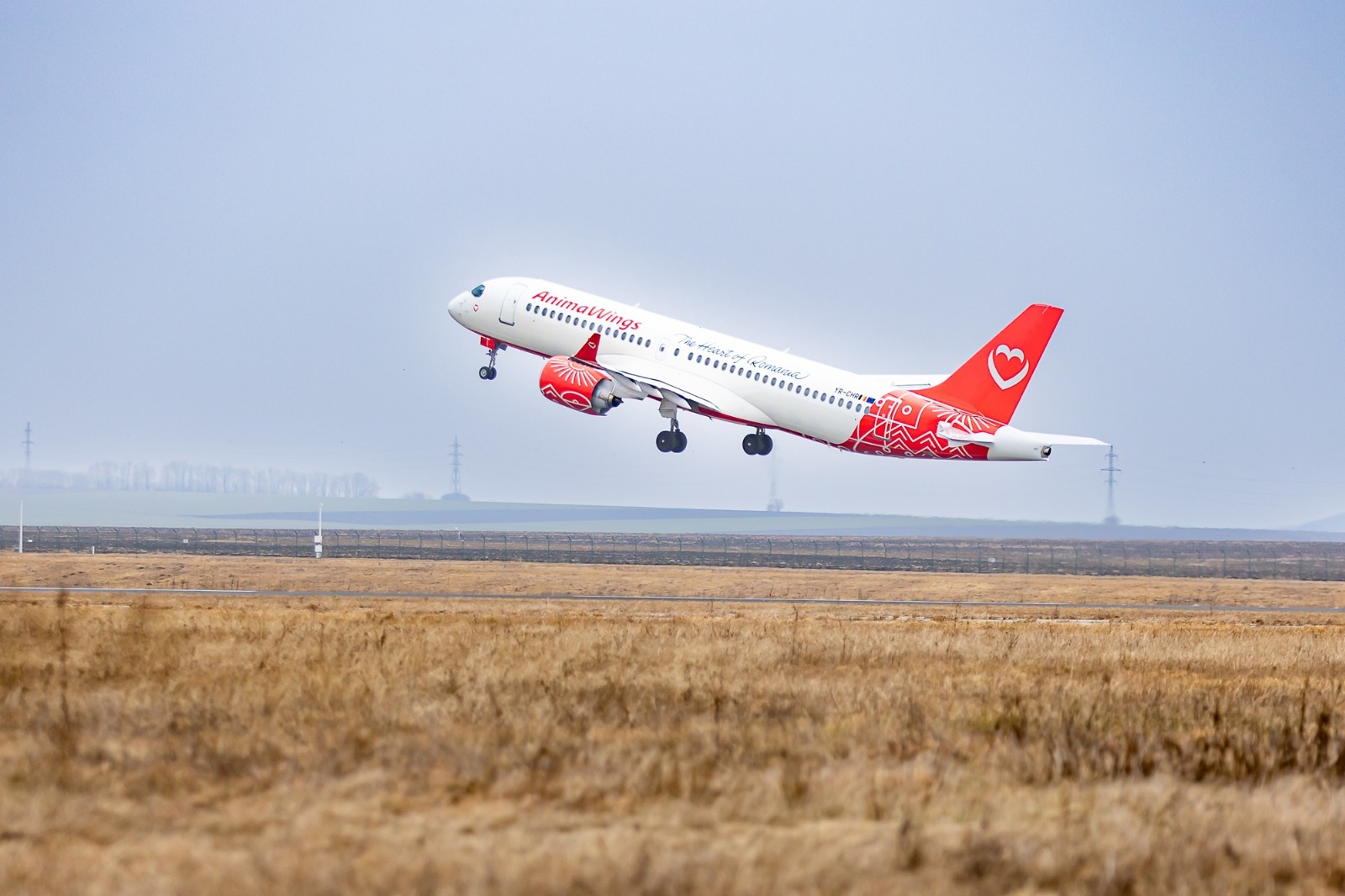 Avion Airbus A220-300 al companiei Animawings