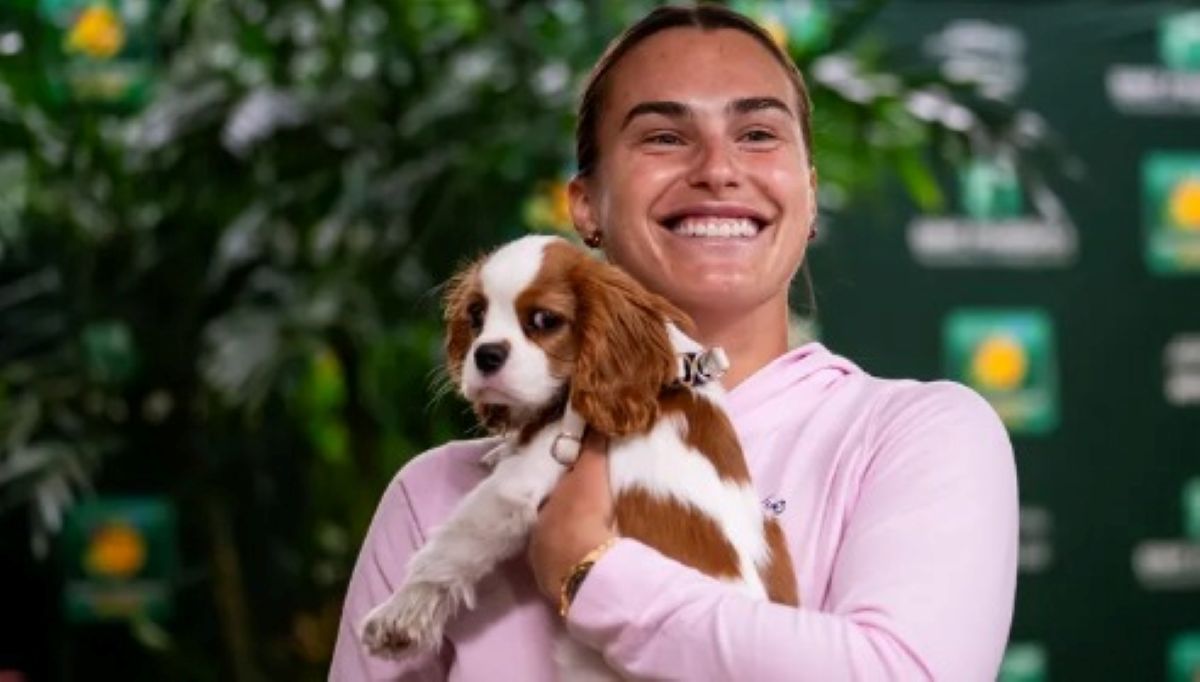 Aryna Sabalenka cu cățelul ei la o conferință de presă