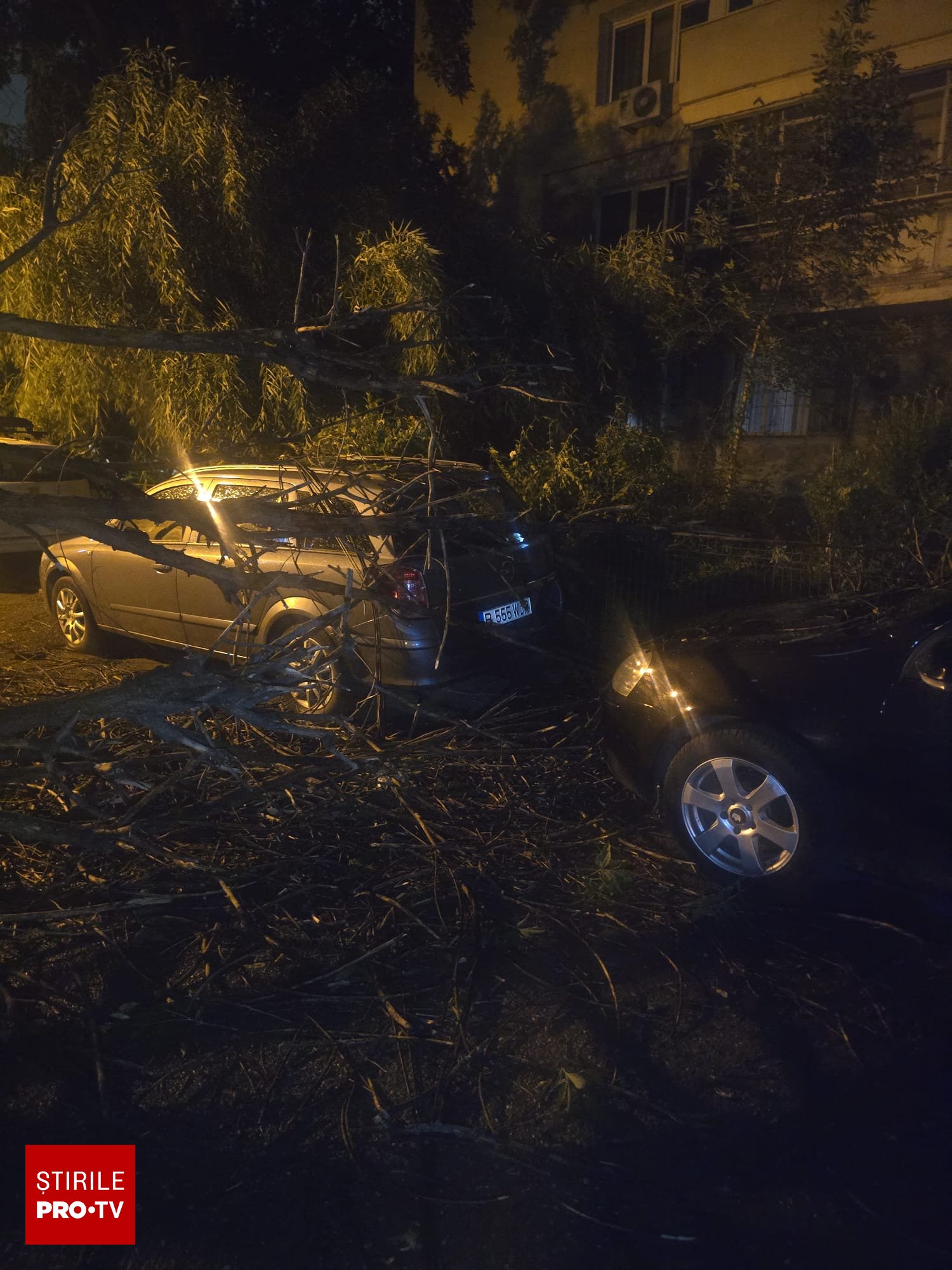 Copac căzut pe o mașină în urma furtunii din București